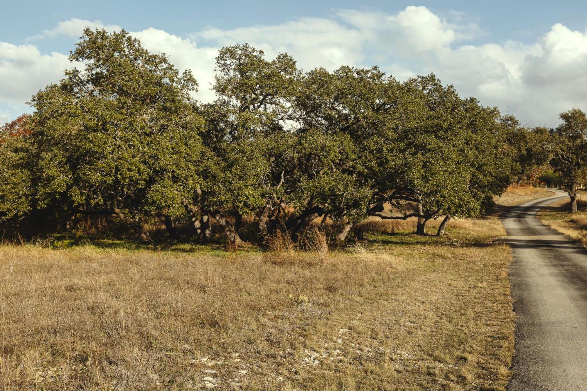 Blair House Inn And Spa Wimberley Zewnętrze zdjęcie